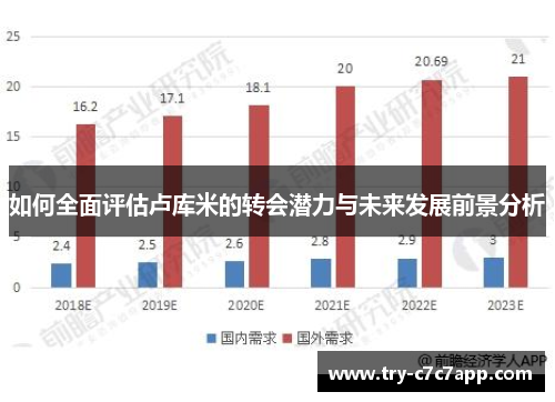 如何全面评估卢库米的转会潜力与未来发展前景分析