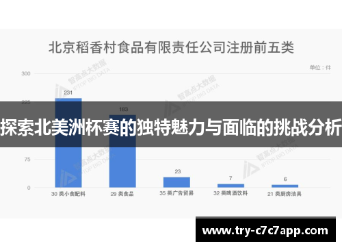 探索北美洲杯赛的独特魅力与面临的挑战分析