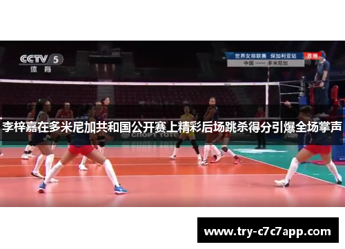 李梓嘉在多米尼加共和国公开赛上精彩后场跳杀得分引爆全场掌声
