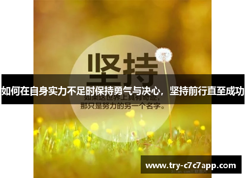 如何在自身实力不足时保持勇气与决心，坚持前行直至成功