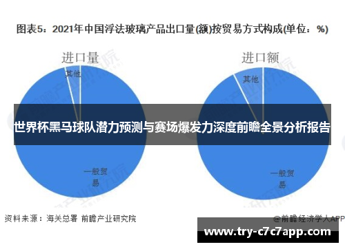 世界杯黑马球队潜力预测与赛场爆发力深度前瞻全景分析报告