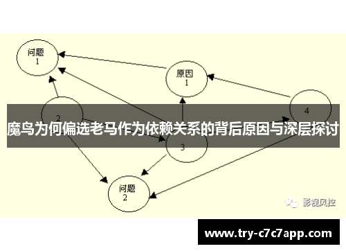 魔鸟为何偏选老马作为依赖关系的背后原因与深层探讨