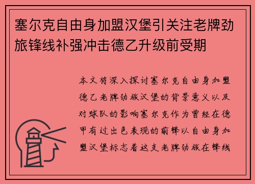 塞尔克自由身加盟汉堡引关注老牌劲旅锋线补强冲击德乙升级前受期